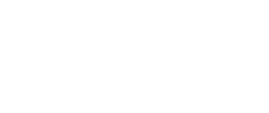 bluestar-logo-white